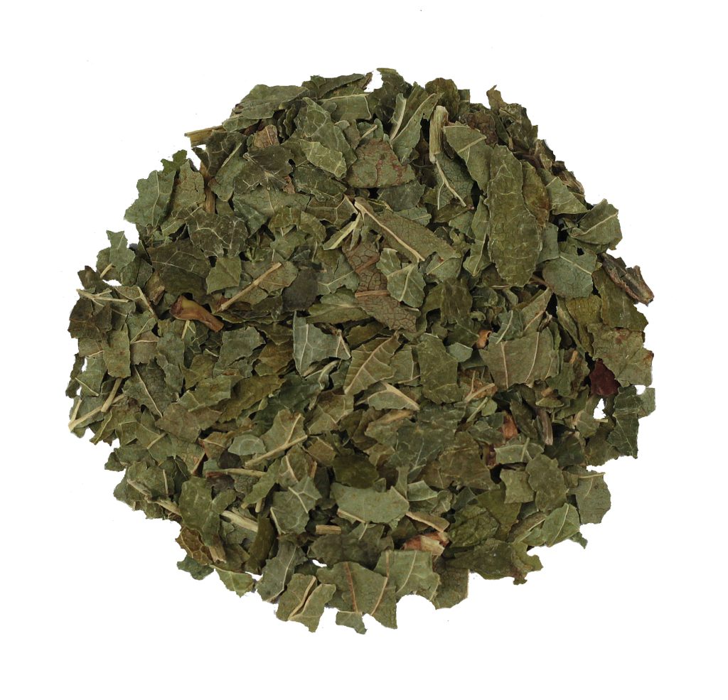 Bessenblad zwart gesneden