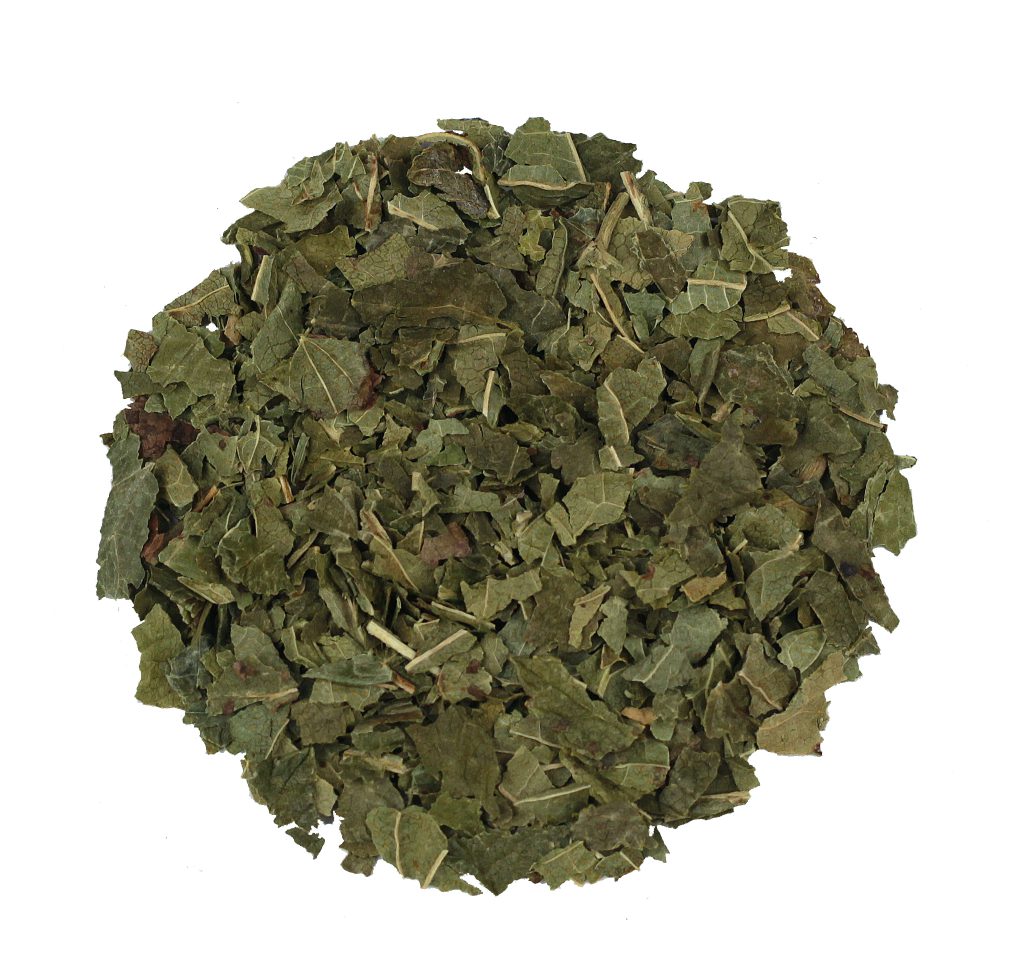 Bosbessenblad gesneden