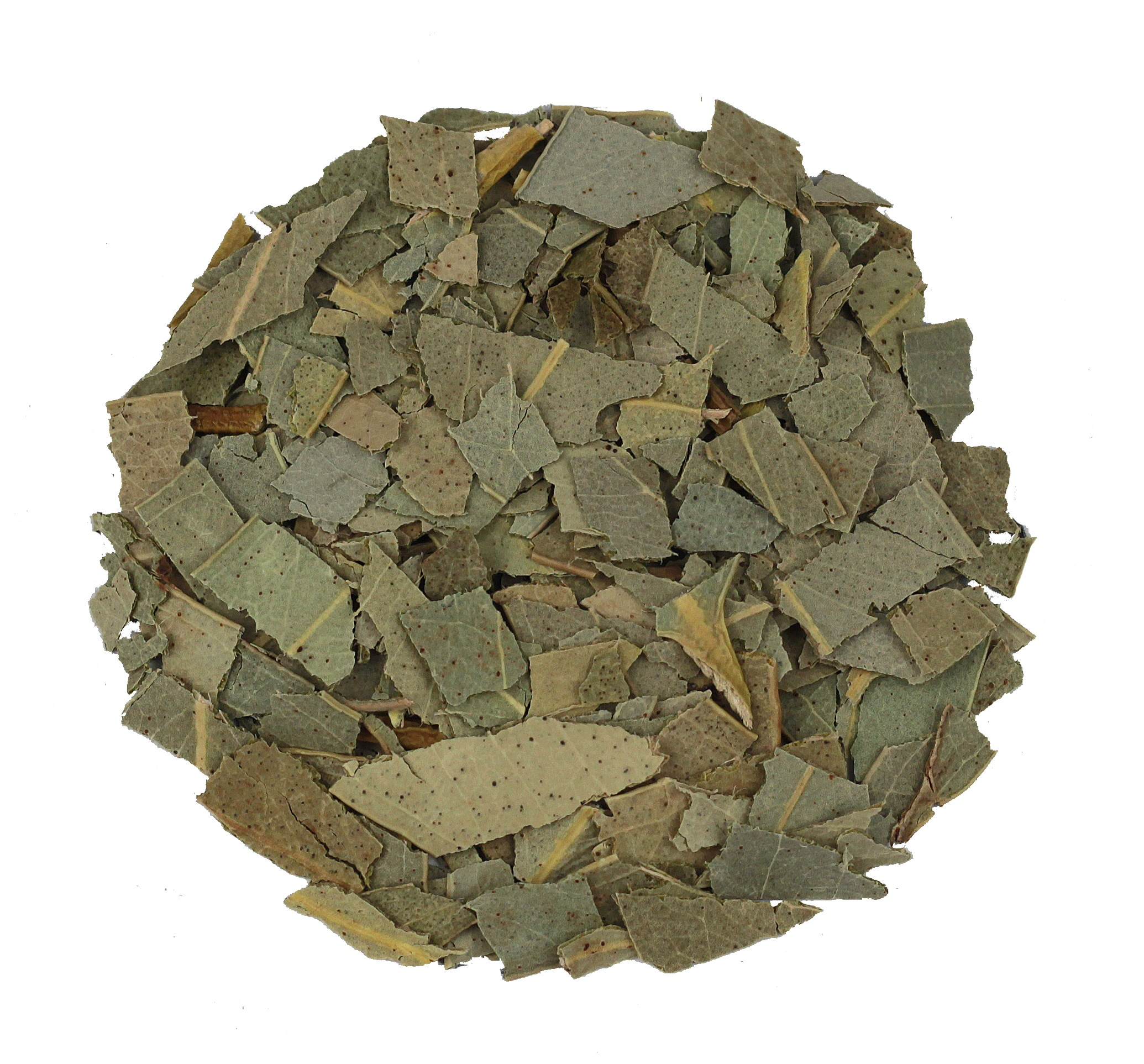 Eucalyptusblad gesneden